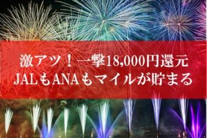 陸マイラー祭りが壮絶