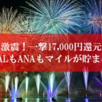 ANA陸マイラー祭り