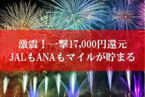 ANA陸マイラー祭り