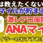 陸マイラー祭り