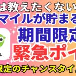 陸マイラーのANAマイル祭り