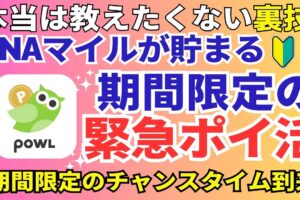 陸マイラーのANAマイル祭り