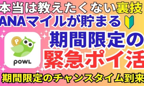 陸マイラーのANAマイル祭り