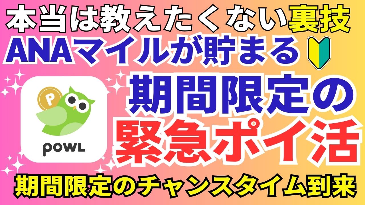 陸マイラーのANAマイル祭り