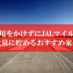 陸マイラー祭り