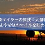 陸マイラー祭り