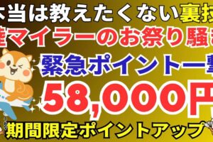 JALマイルが貯まる