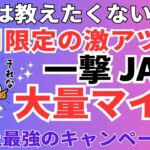 陸マイラー祭り