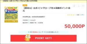 ビッグローブ光