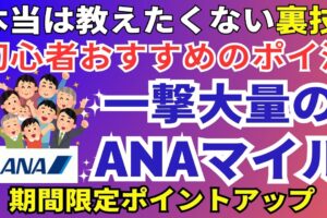 ANAマイルのポイ活