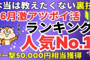 人気ランキング