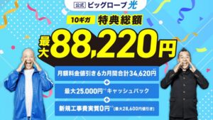 ビッグローブ光
