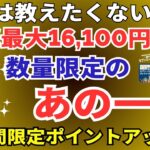 陸マイラー祭り