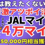 陸マイラー祭り