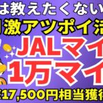 陸マイラー祭り