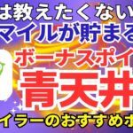 ANA陸マイラー祭り