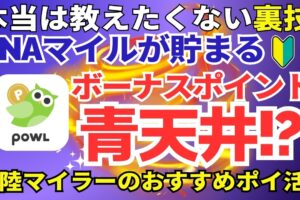 ANA陸マイラー祭り