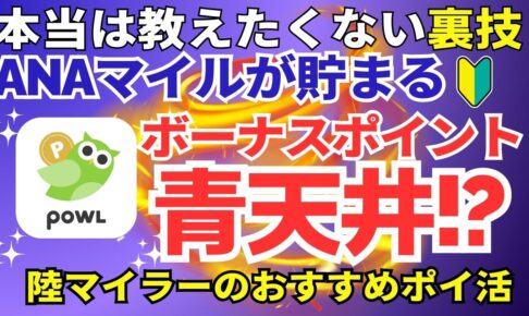 ANA陸マイラー祭り