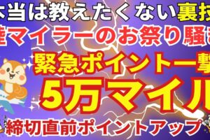 陸マイラー祭り