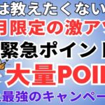 陸マイラー祭り