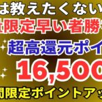 陸マイラー祭り