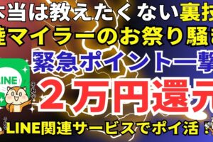 陸マイラーのポイ活