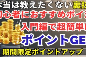 ポイ活でANAマイル