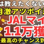 陸マイラー祭り