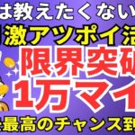 陸マイラー祭り