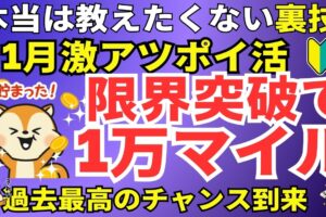 陸マイラー祭り
