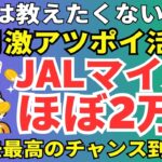 陸マイラー祭り