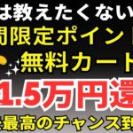 陸マイラー祭り