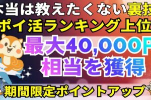 モッピーahamo