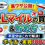 JALマイルの買い方